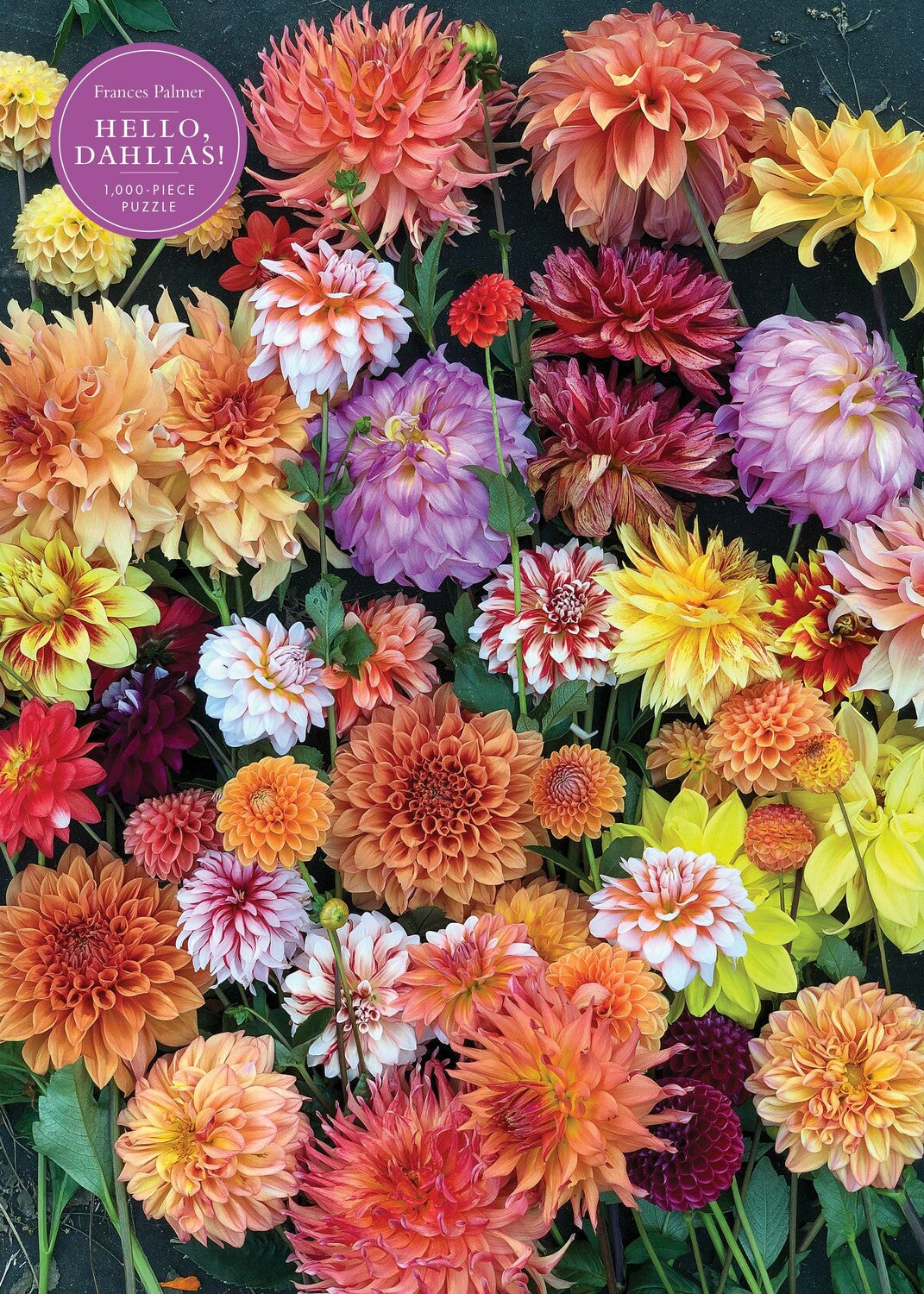 1000 Piece Puzzle, Hello, Dahlias! Artisan/Workman Publishing