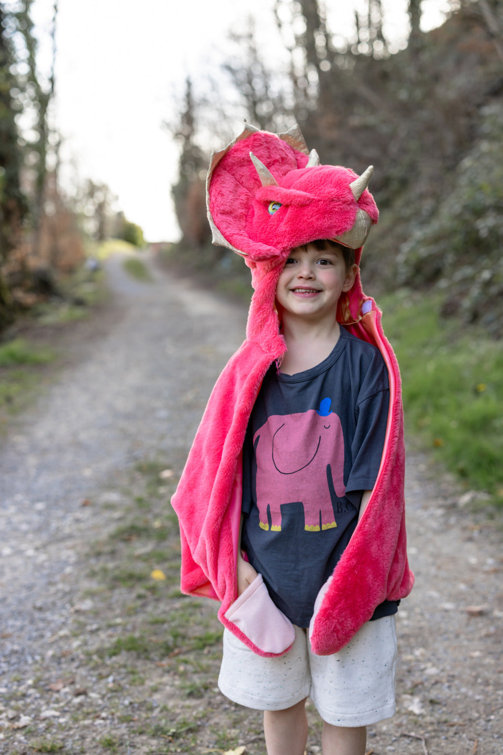 Red Triceratops Cuddle Cape (Size 2T)