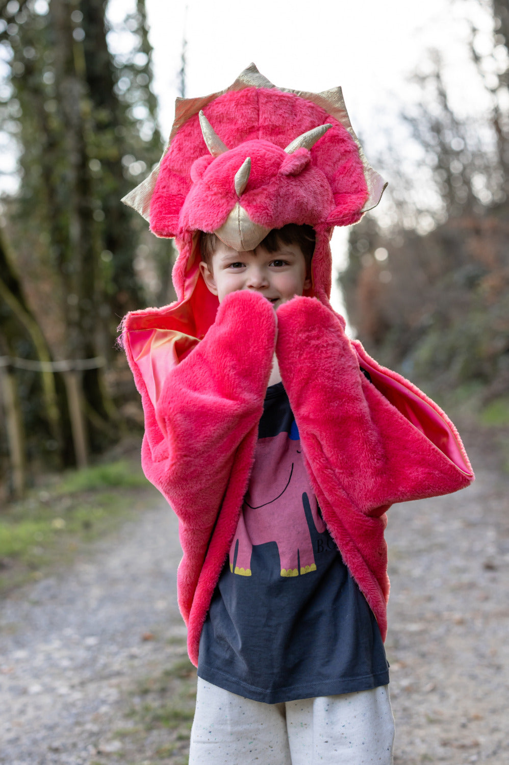 Red Triceratops Cuddle Cape (Size 3-4)
