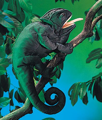 Chameleon Puppet