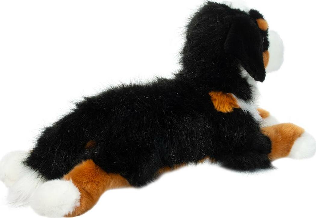 Trooper DLux Bernese Mountain Dog