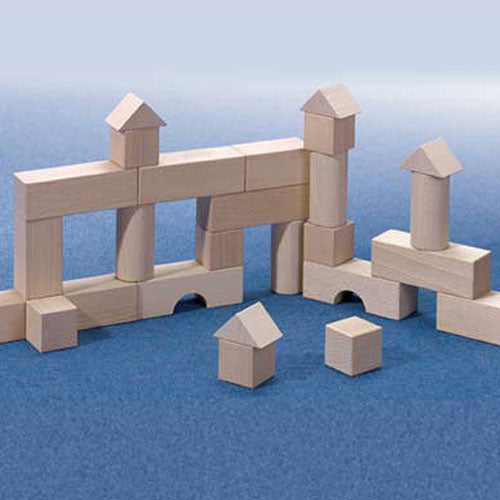 Basic Building Blocks Starter