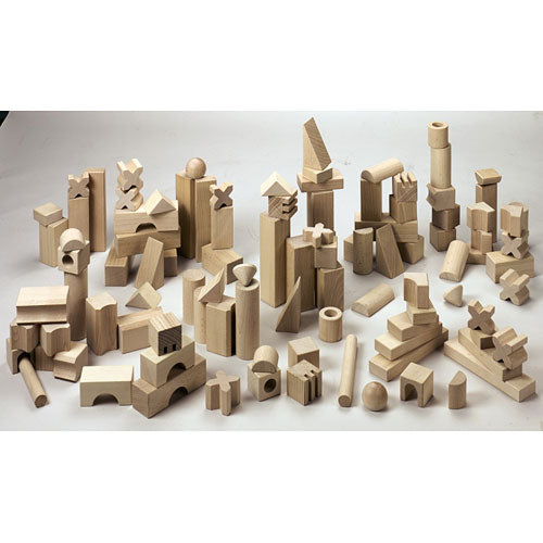 Extra Large Set of Wooden Building Blocks