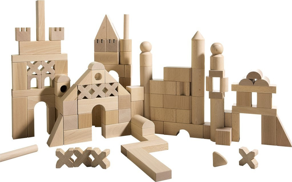 Extra Large Set of Wooden Building Blocks
