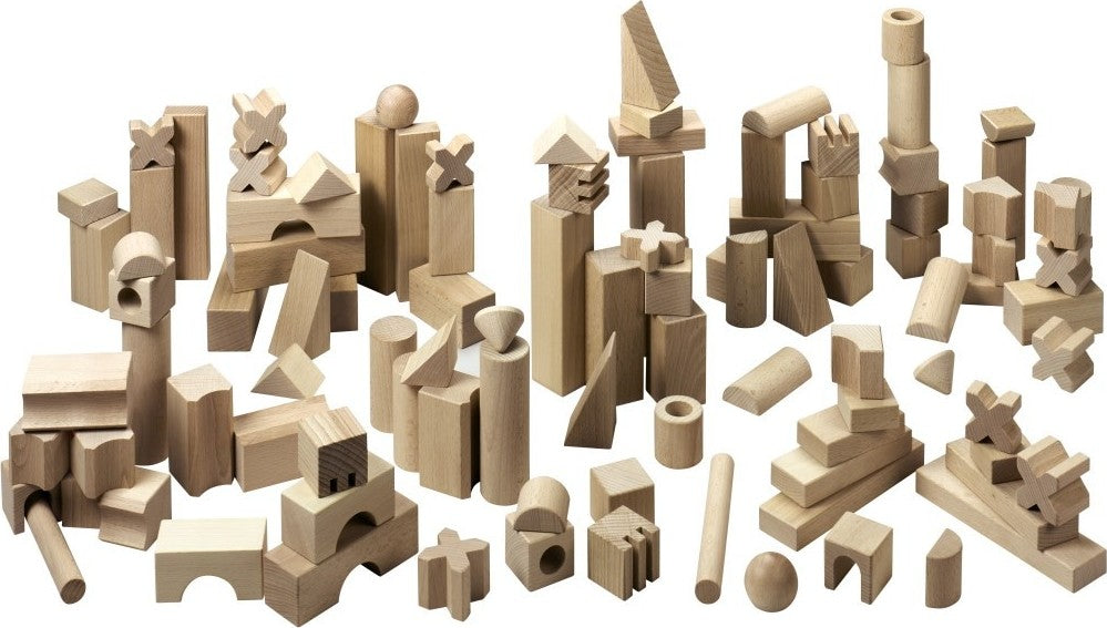 Extra Large Set of Wooden Building Blocks