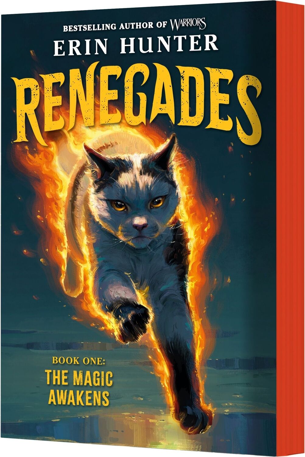Renegades #1: The Magic Awakens