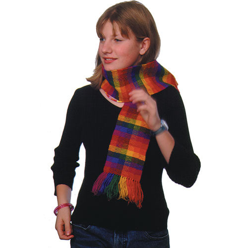 Easy Weaver A Loom