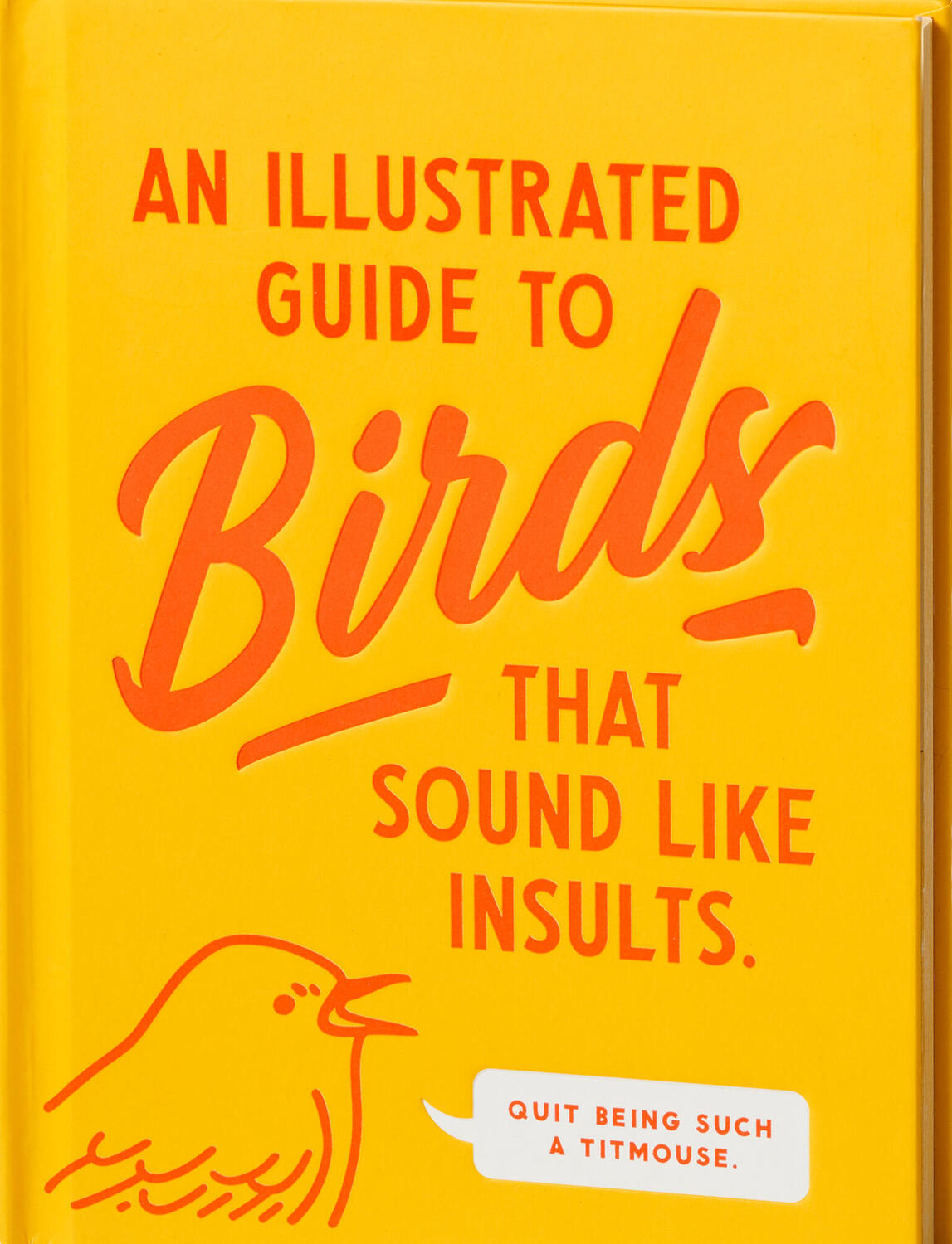 An Illustrated Guide to Birds that Sound like Insults
