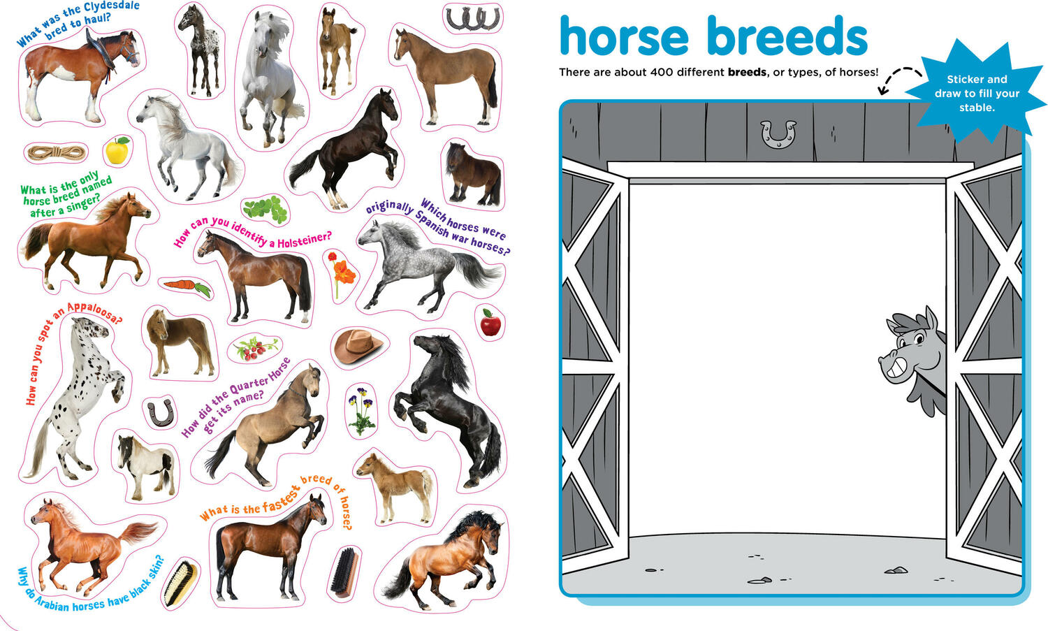 Peel + Discover: Horses