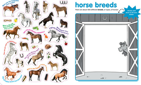 Peel + Discover: Horses