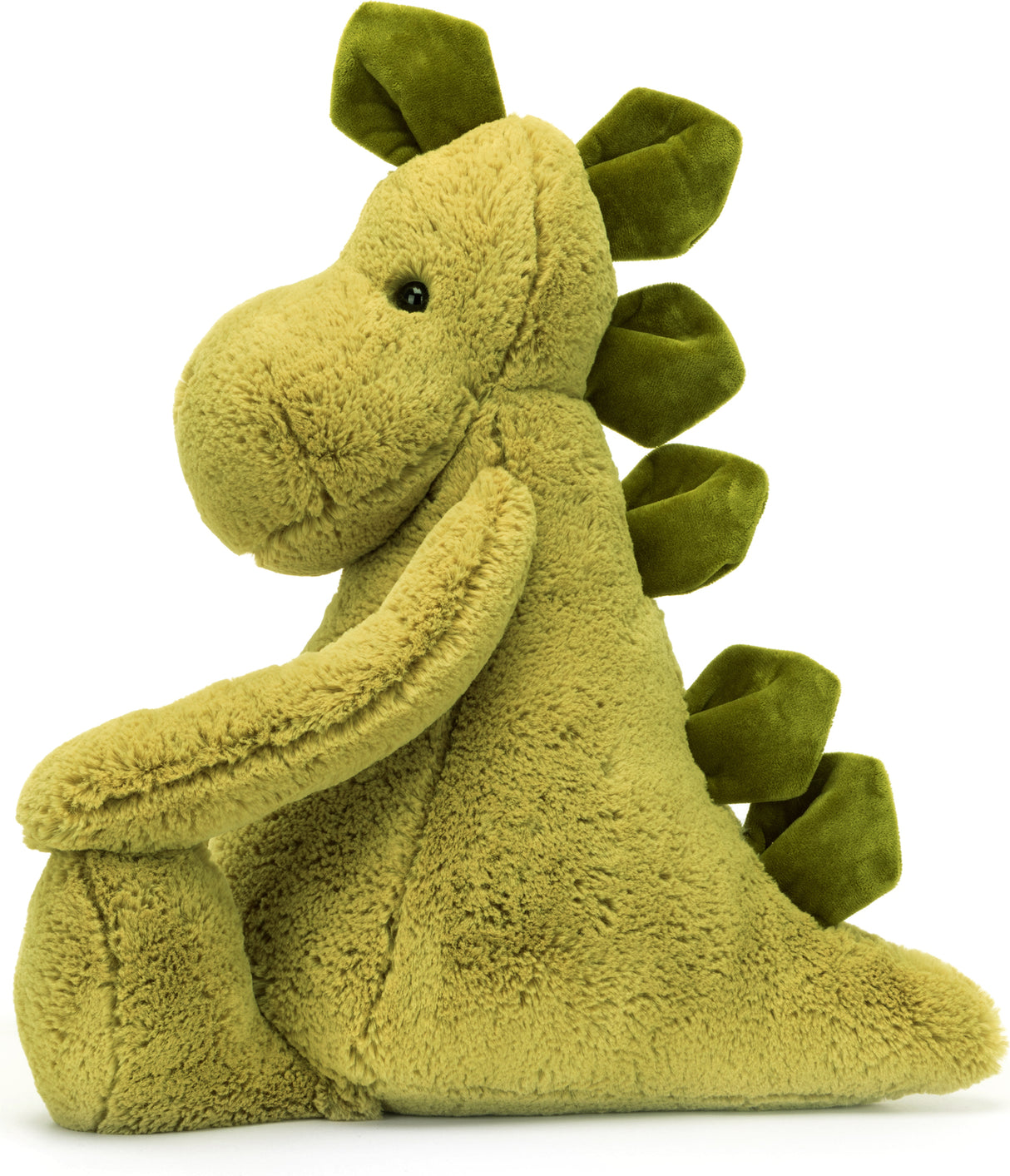 Bashful Dino Really Big