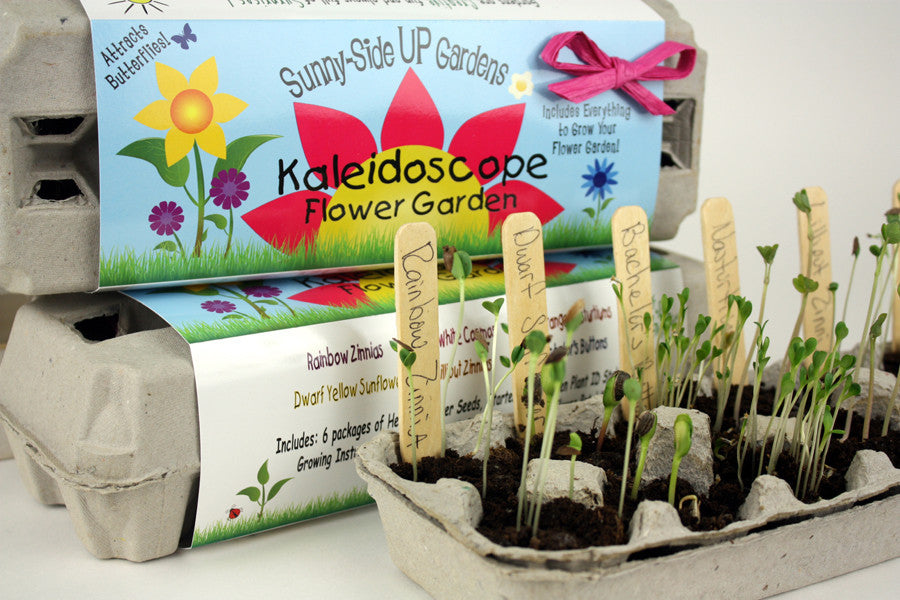 Sunny Side Up Kaleidoscope Flower Garden Backyard Safari Co.