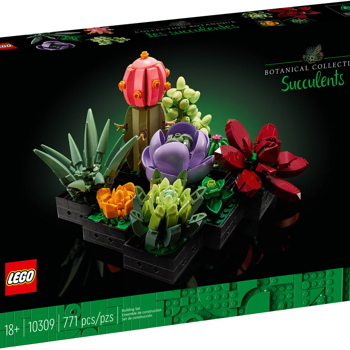 10309 Succulents