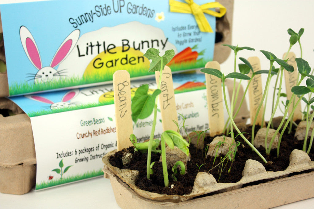 Sunny Side Up Little Bunny Garden Backyard Safari Co.