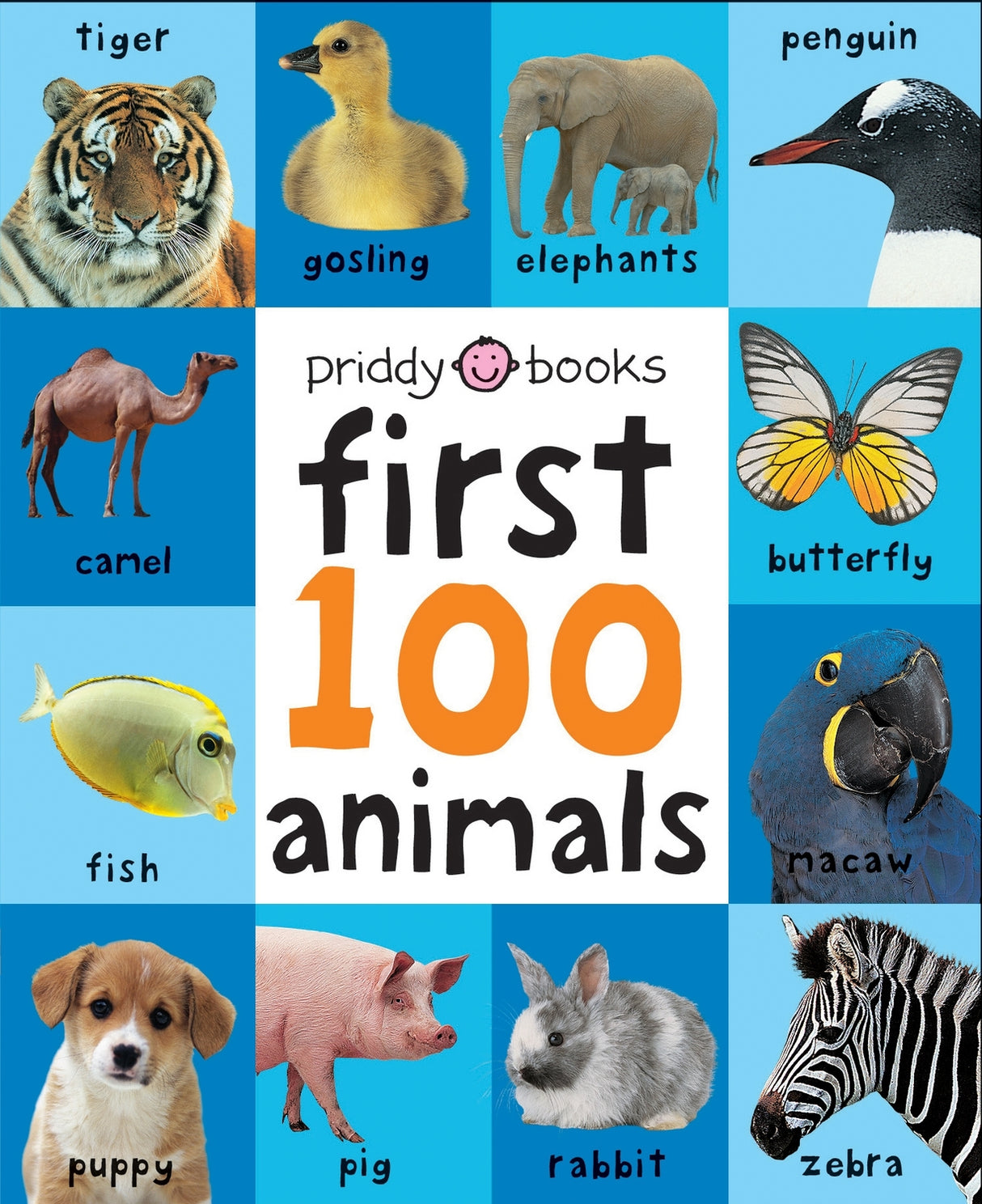 First 100 Big Board: Animals: In the bestselling First 100 series