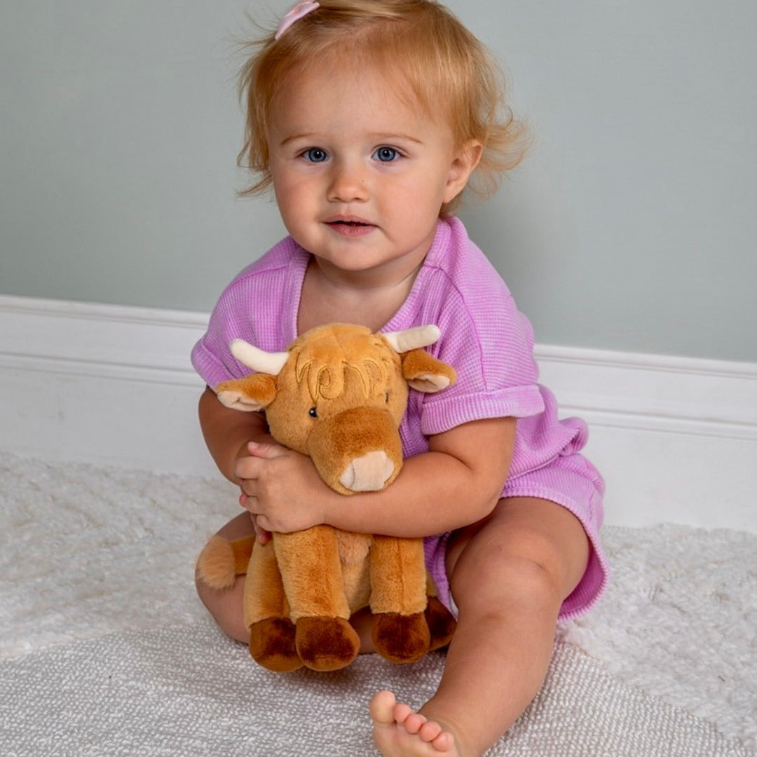 Hetty Highland Cow Soft Toy - 10" Mary Meyer Stuffed Toys