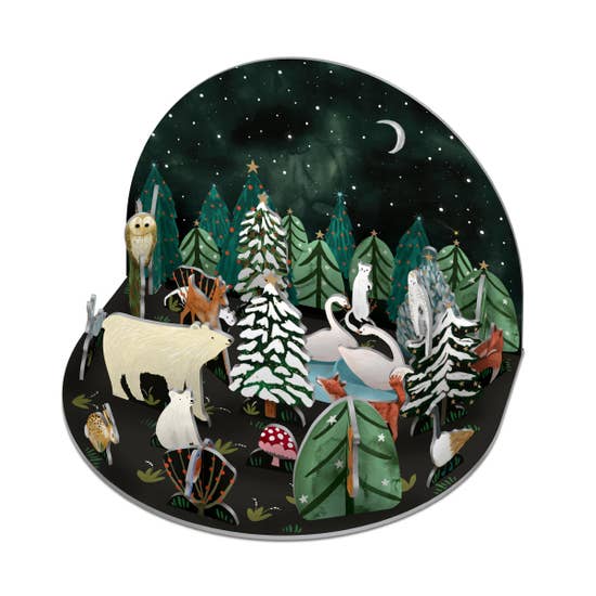 Northern Lights Pop and Slot Advent Calendar