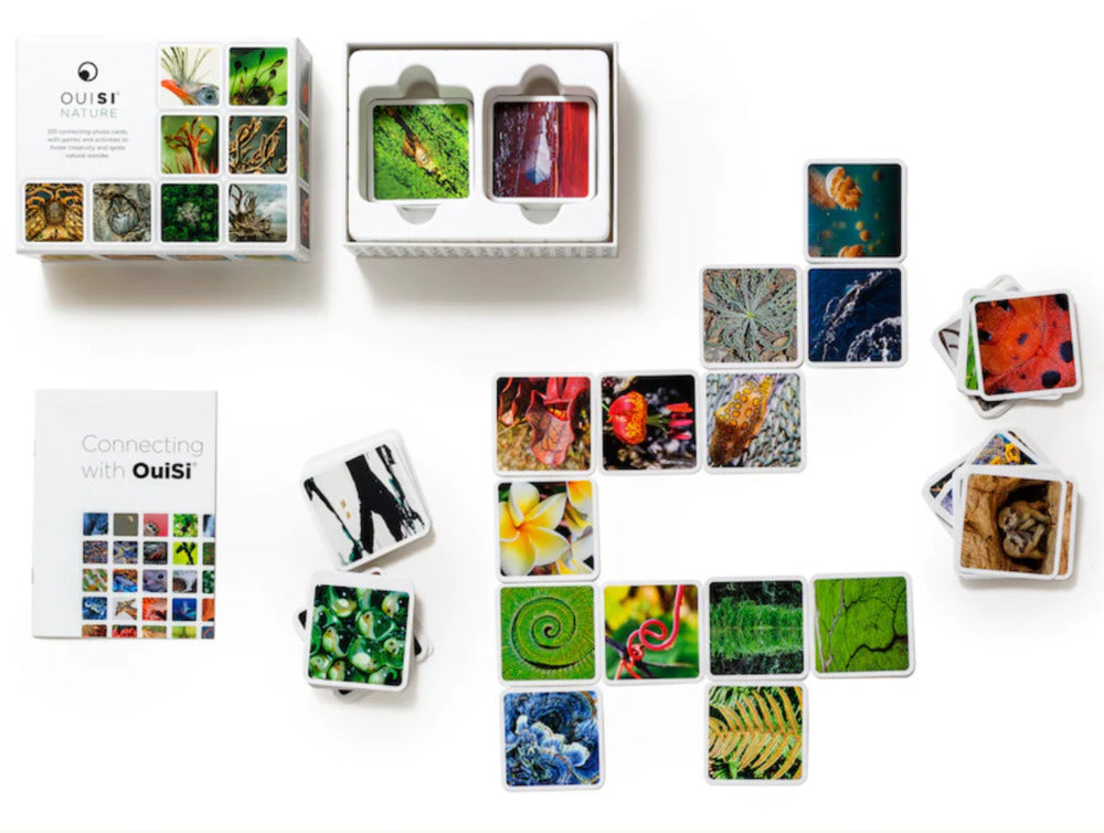 OuiSi Nature: Games of Visual Connection OuiSi