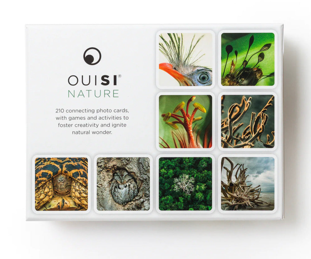 OuiSi Nature: Games of Visual Connection OuiSi
