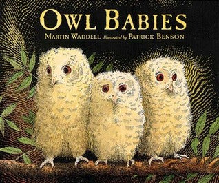 Owl Babies - Board Book