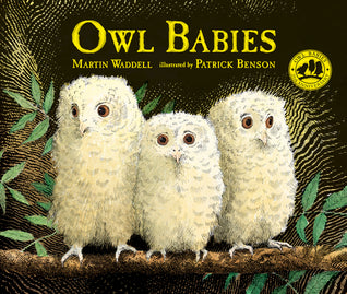 Owl Babies - Hardcover