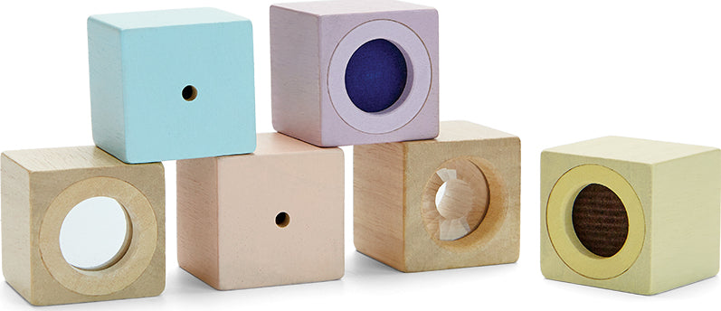 Sensory Blocks