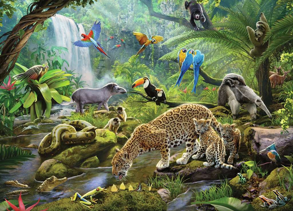 60 Piece Puzzle, Rainforest Animals