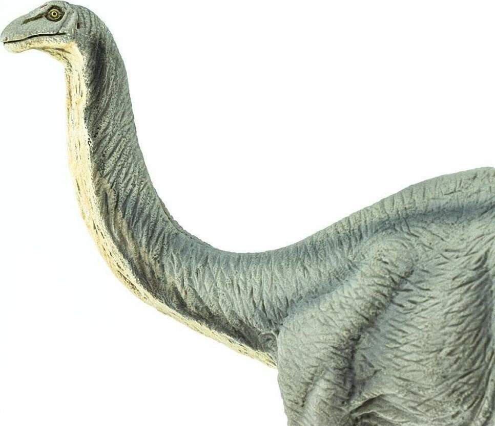 Apatosaurus Figurine Safari Limited