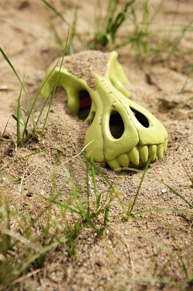 Dinosaur Sand Glove