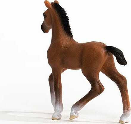 Oldenburger Foal