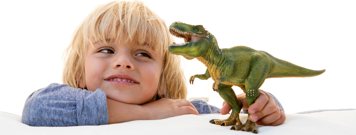 Schleich Tyrannosaurus Rex