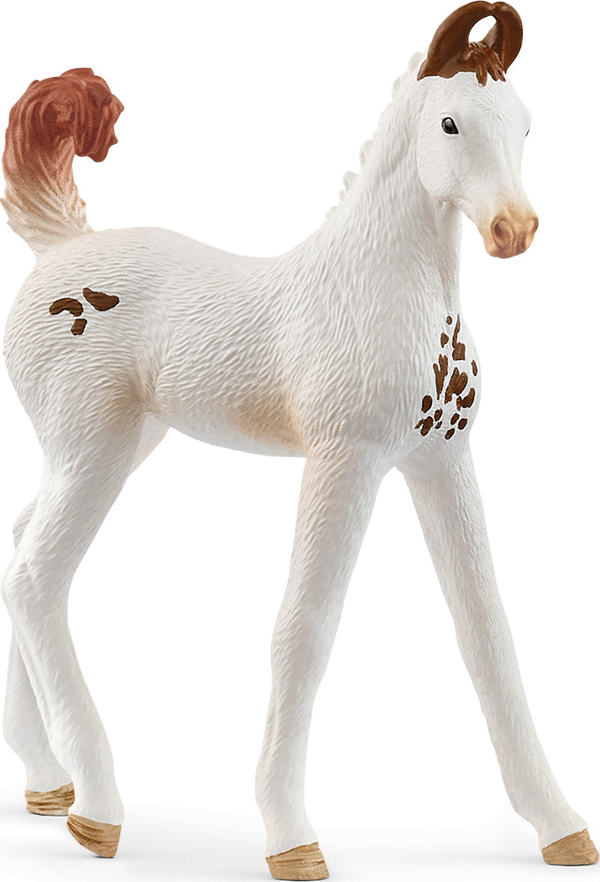 schleich HORSE CLUB Marwari Foal