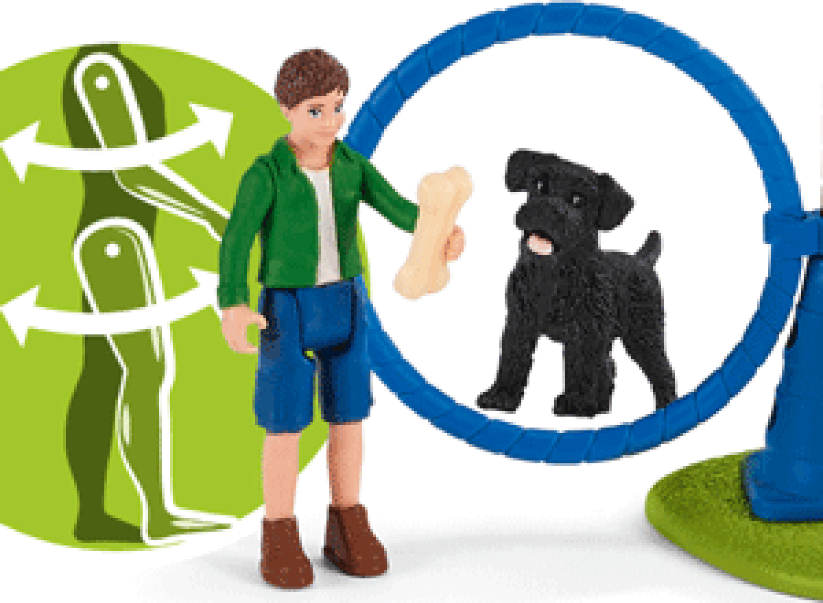 schleich Farm Life Puppy Agility Training