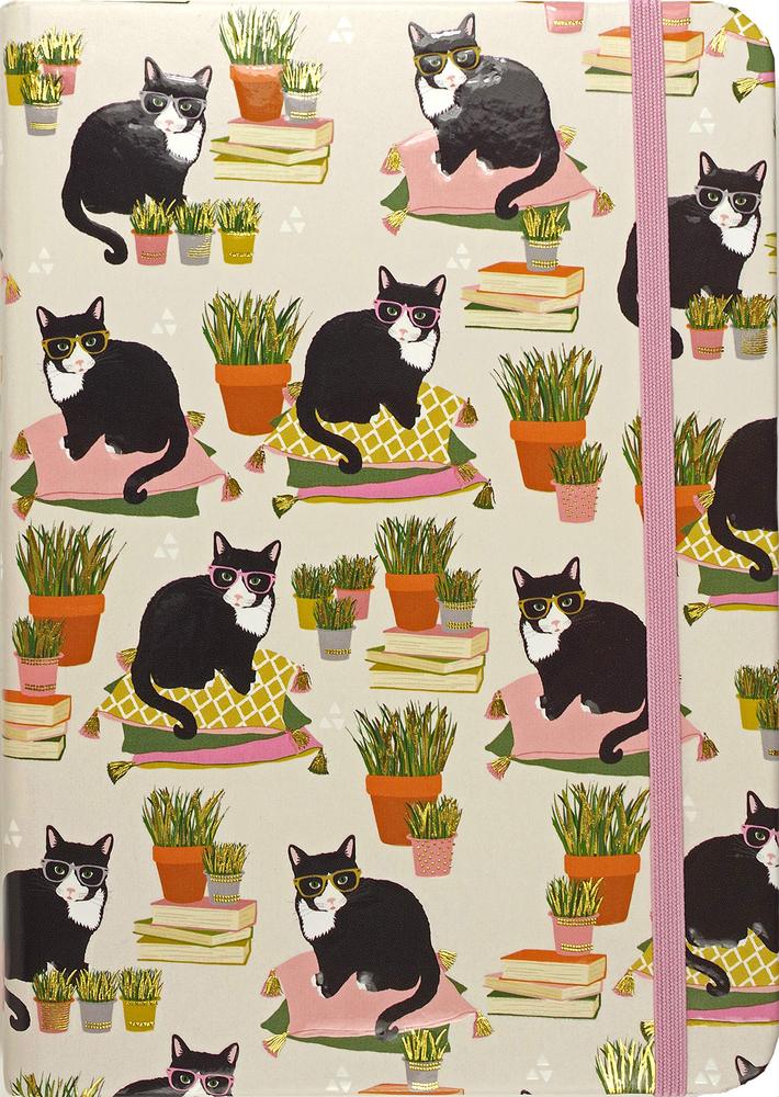 Small Journal: Smarty Cats