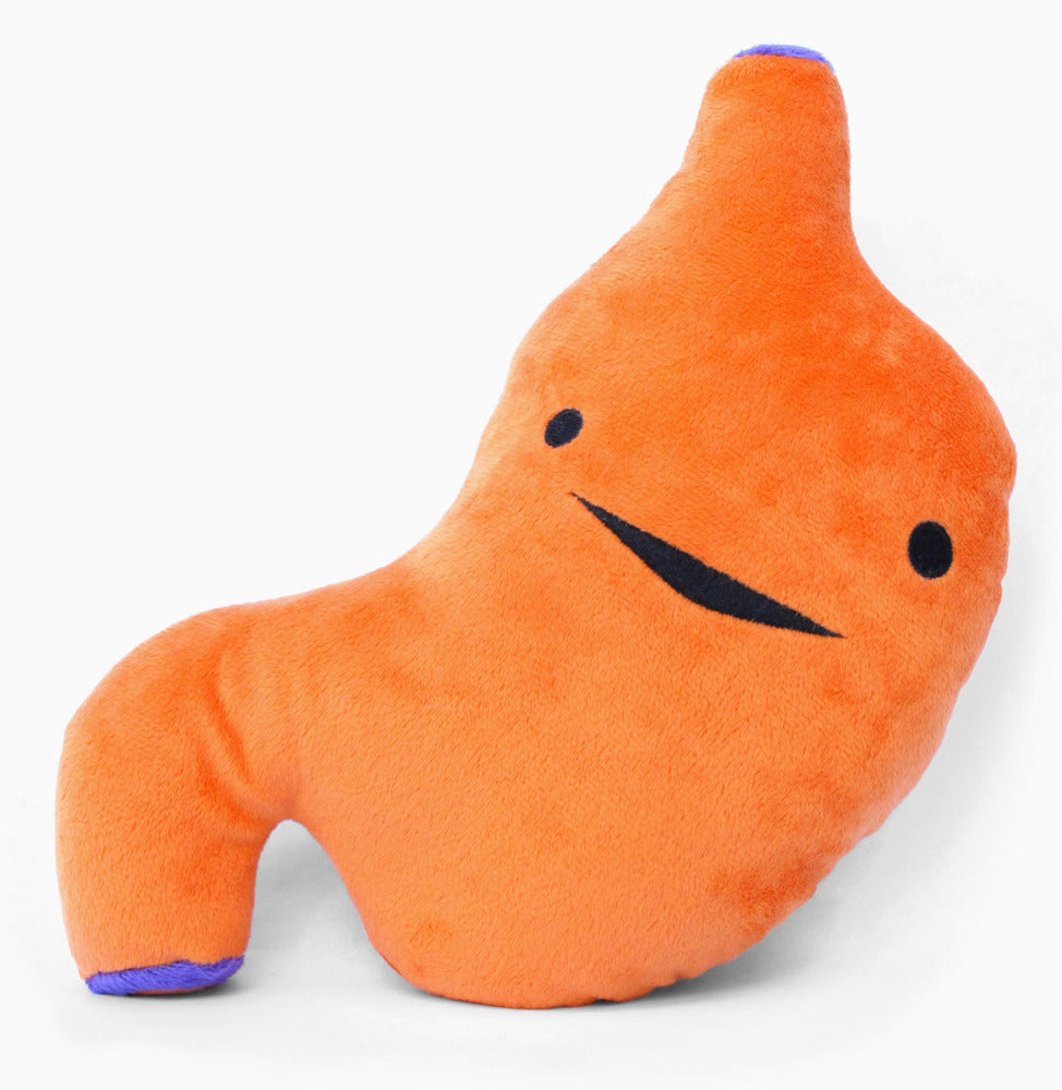 Stomach Plush - I Heart Guts