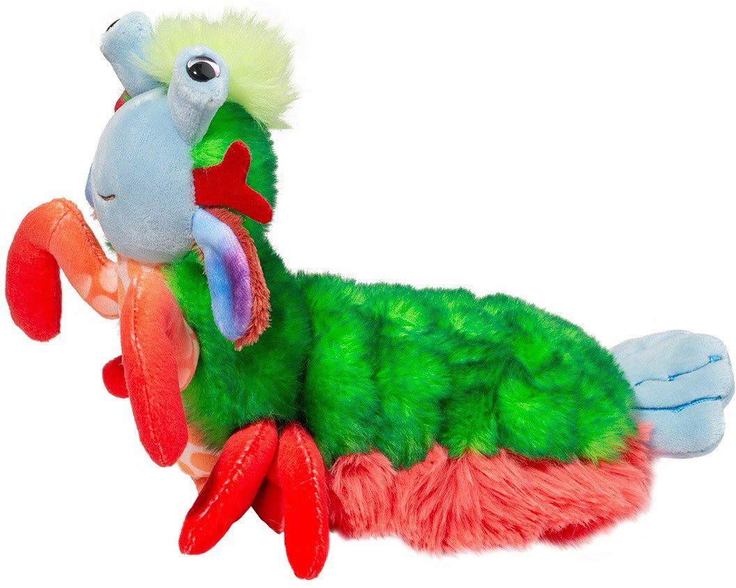 Punchie Peacock Mantis Shrimp Douglas Toys