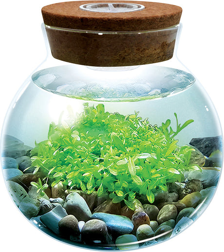WaterPlants - Create Your Own Aquascape