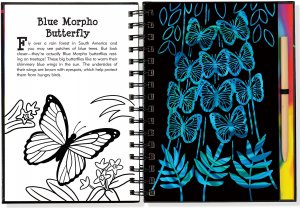 Scratch and Sketch Trace Along Butterflies and Friends
