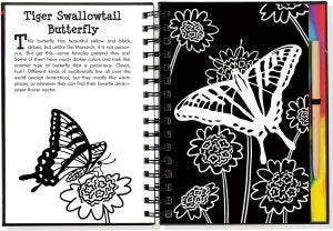 Scratch and Sketch Trace Along Butterflies and Friends