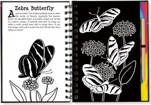 Scratch and Sketch Trace Along Butterflies and Friends