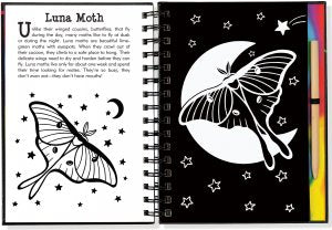 Scratch and Sketch Trace Along Butterflies and Friends