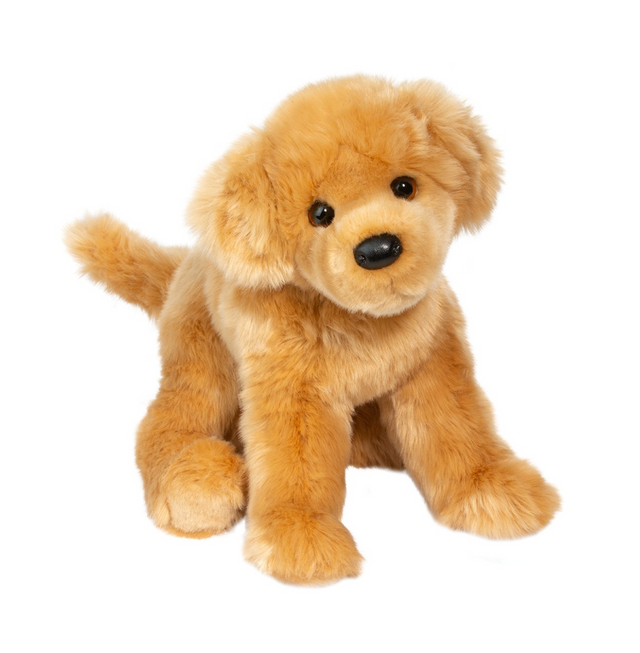 Bella Golden Retriever 