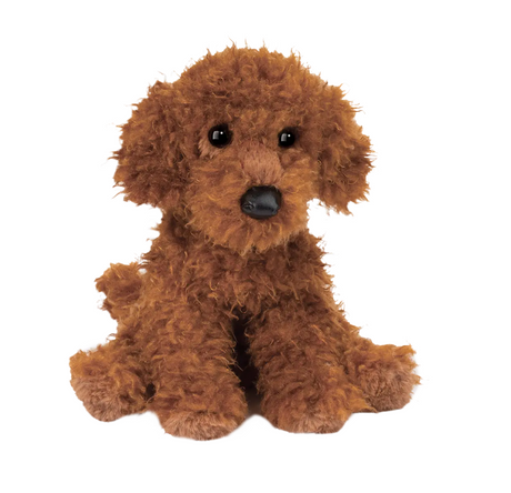 Ginger Miniature Poodle