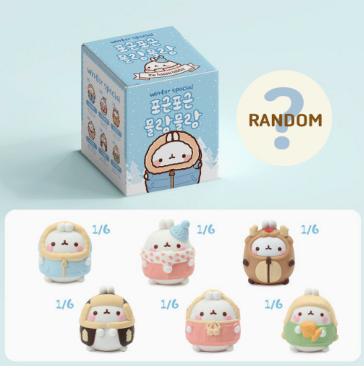 Molang Winter Special Blind Box