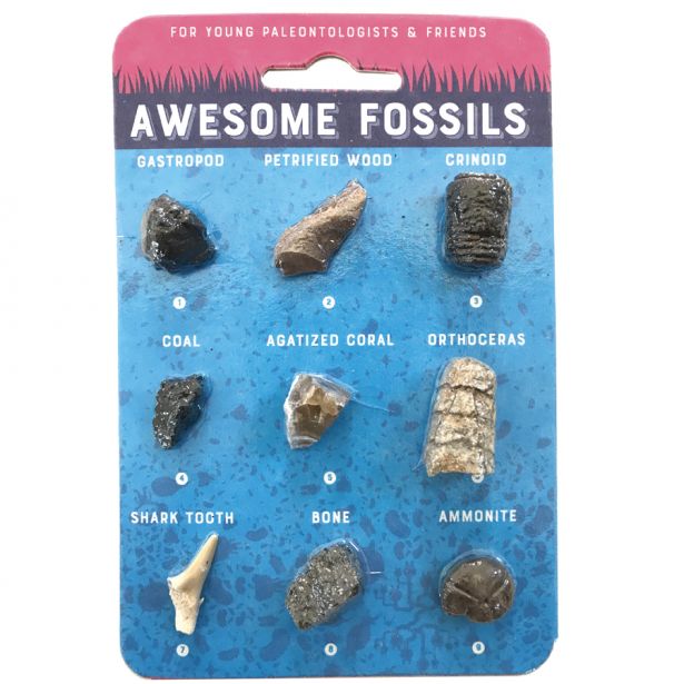 Awesome Fossils