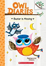 Baxter Is Missing Owl Diaries 6