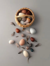 A Dozen Bird Eggs in a Basket