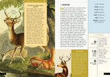 The Little Book of North American Mammals