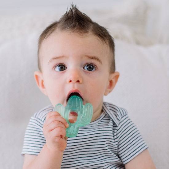 Cactus Water-Filled Cooling Teethers