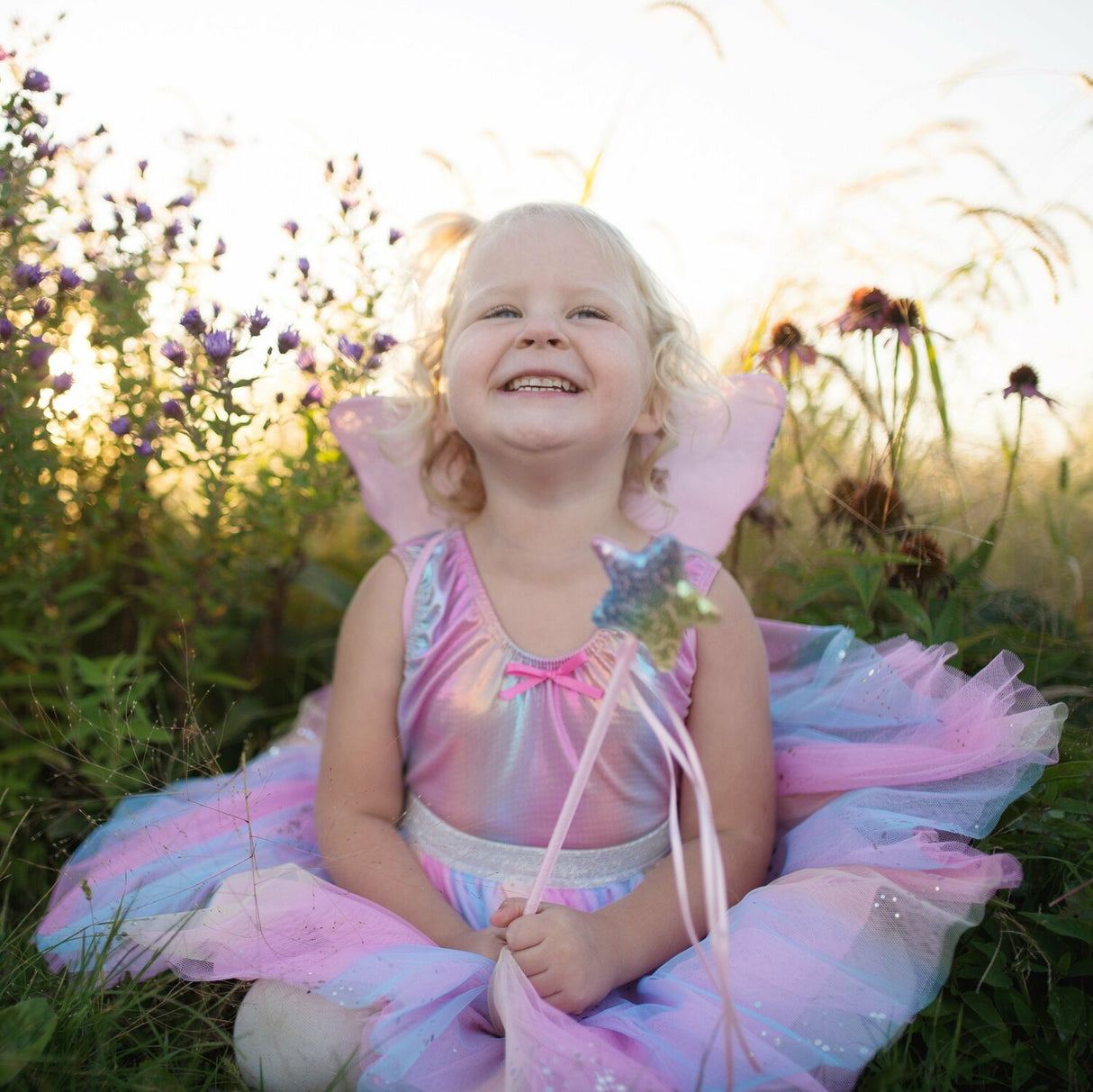 Rainbow Sequins Skirt, Wings and Wand Set